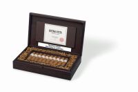Buena Vista Zigarren Short Robusto (Schachtel á 20 Stück)